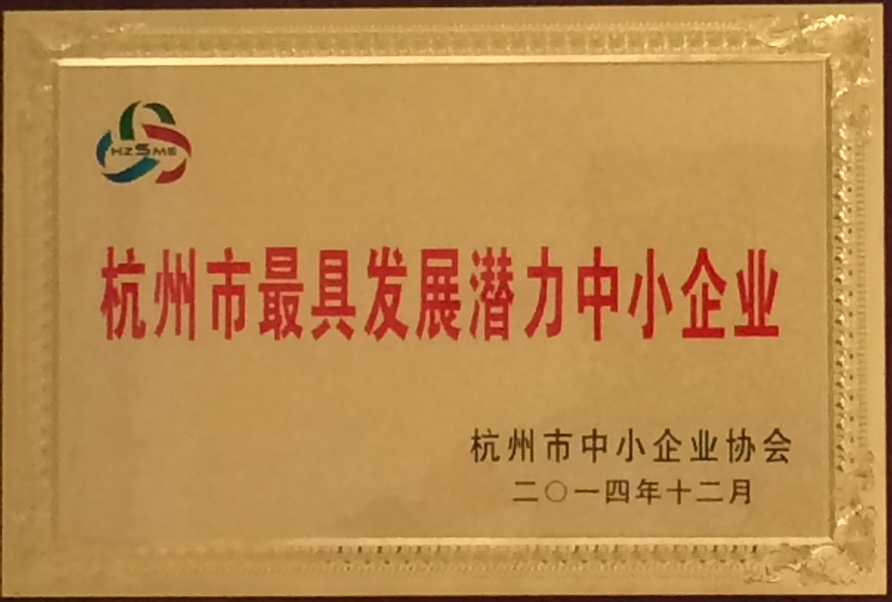 2014年杭州市最具发展潜力中小企业